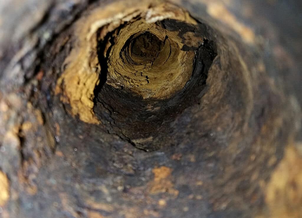 When Do Sewer Lines Need Replacement From A Plumbing Company? | Bedford, TX