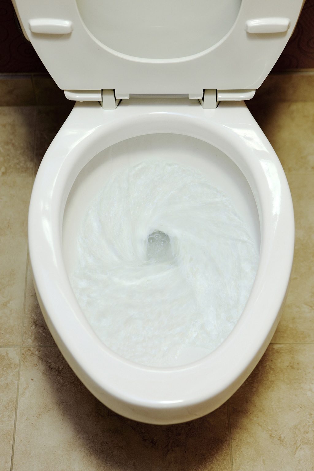 When Your Toilet Makes Unusual Noises, Don’t Guess! Call A Plumber For Professional Help | Grapevine, TX