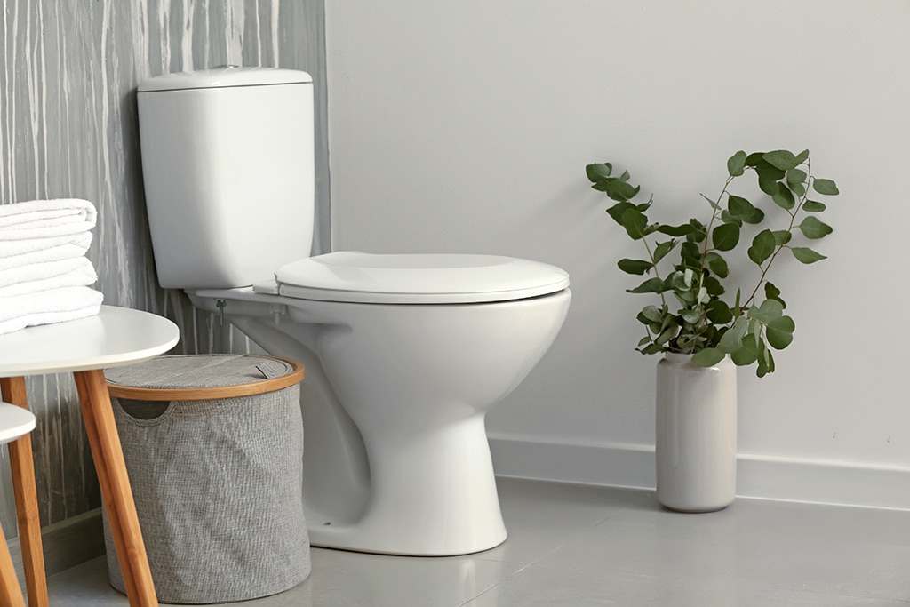 Plumber Tips: The Different Types Of Toilets You May Consider Installing | Grapevine, TX