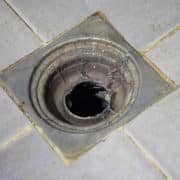 What-Are-The-Dangers-Of-Dirty-Drains-And-When-Is-It-Time-For-Drain-Cleaning-Service--_-Bedford,-TX