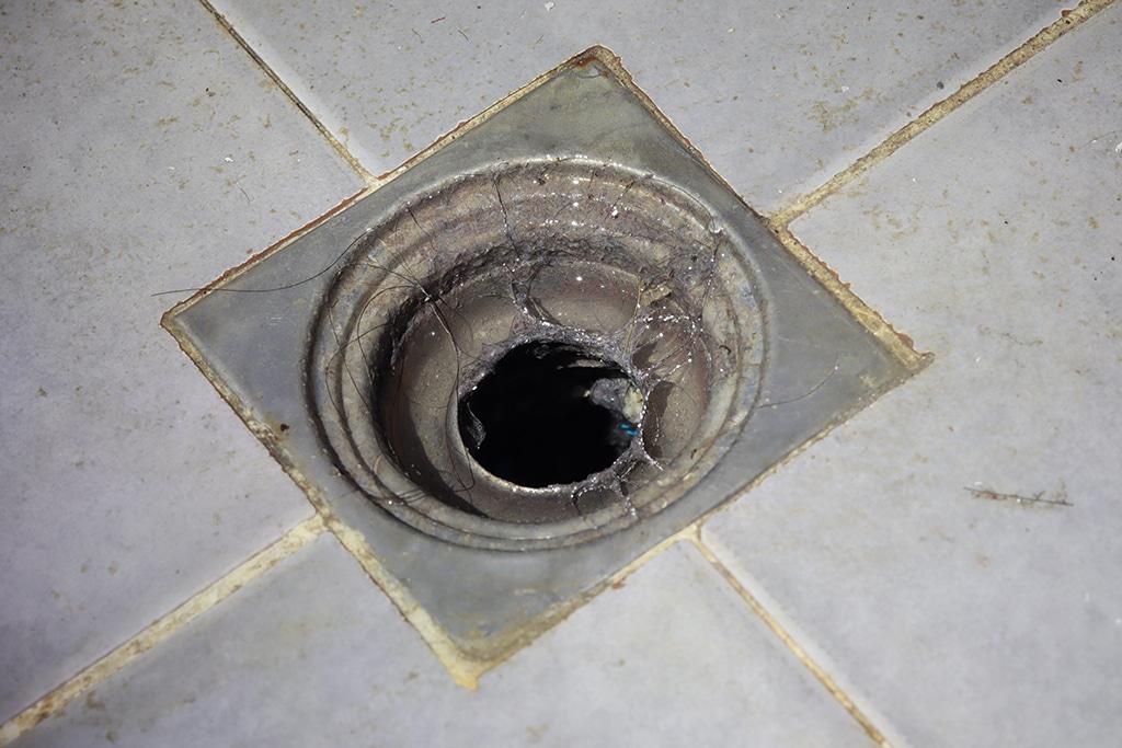 What Are The Dangers Of Dirty Drains And When Is It Time For Drain Cleaning Service? | Bedford, TX