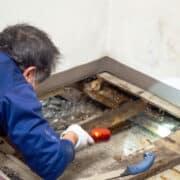 Detecting and Preventing Leaks with the Help of Your Plumber