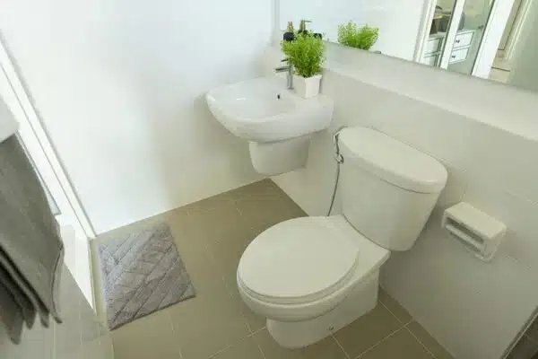 5 Ways A Plumber Can Help You Avoid Plumbing Disasters - Tioga Plumbing and Electric