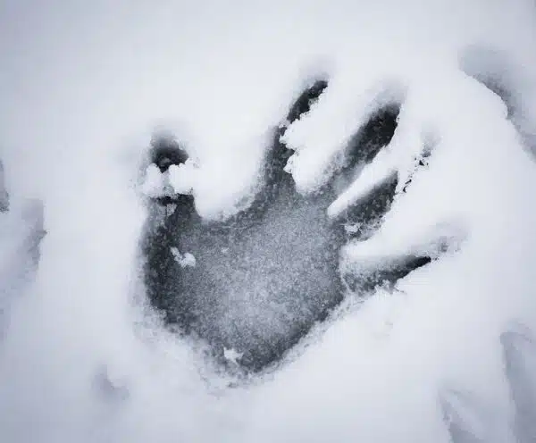 5 Winter Plumber Tips For Every Homeowner - Tioga Plumbing and Electric